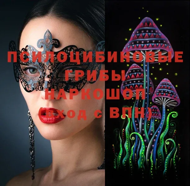 Псилоцибиновые грибы Psilocybe  Ишимбай 